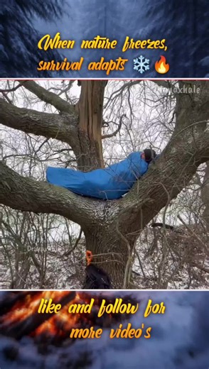 Building an Ice & Snow Shelter ❄️ How I Adapt to Extreme Winter Weather — This is how I survive harsh cold by adapting to the weather and building a strong shelter using only ice and snow, showing real winter camping skills, survival mindset, and outdoor bushcraft techniques in deep snow conditions. #camping #survival #outdoors #snow #snowday