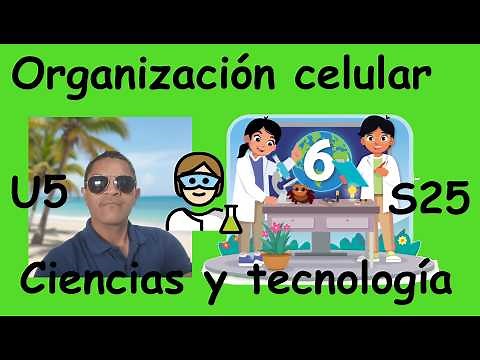 Organización celular Ciencias y Tecnología Cuaderno de Trabajo 6° grado