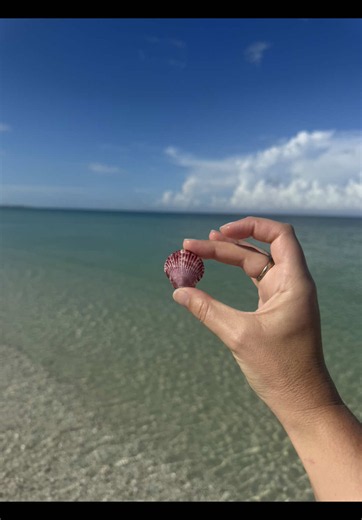 Seashell Jewelry Ideas: Shell Charms & Necklace Creations
