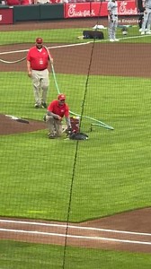 37K views · 423 reactions | Fast, but not so furious  An adorable dog decided to run a freestyle route across the field during the ceremonial first pitch retrieval. #usatodaypets #dogsoftiktok #baseball #doglover #goodnews | Humankind | Facebook