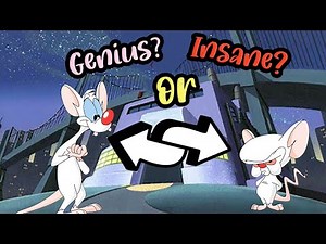 Who’s the Genius, Who’s Insane? Pinky and the Brain Theory