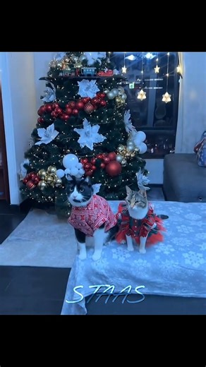 #tweening #trend #aestheic