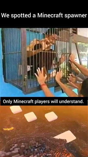 Minecraft spawner in real life