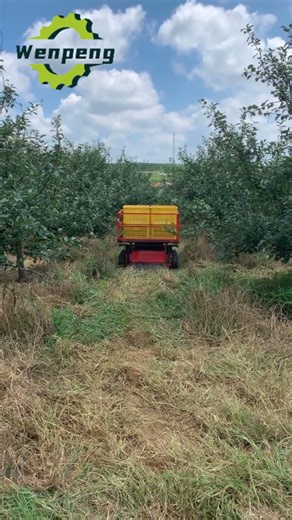 Multi-functional Remote Control Lawn Mower #lawnmower #agriculturalmachinery #rcmower