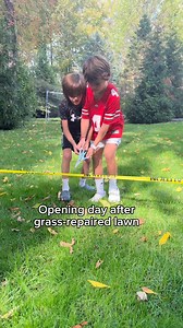 Repair grass. Resume play. | Scotts Lawn Care