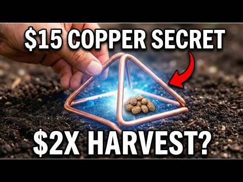 Bending Copper Into This Shape Creates Endless Energy | The Electric Soil Secret