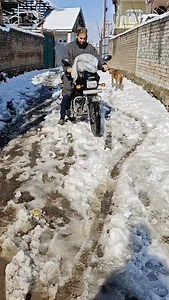 #parcals | KHURSHEED LONE