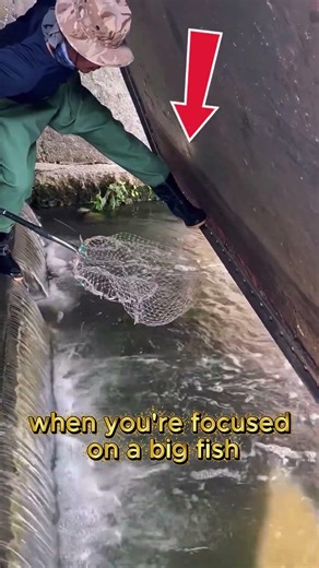 when you're focused on a big fish #shorts #fishing