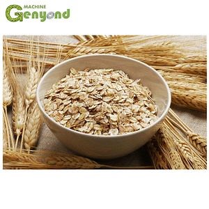 [Hot Item] Oatmeal Production Machine Form China Manufacturer