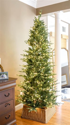 🎄 Come unbox the viral twinkling Balsam Fir Christmas tree with me! It’s still in stock (for now 👀) with super easy setup, no plugs to hunt down, and you get both white and colorful lights. ✨ I’ve got the 7.5’ slim unflocked version, and she’s a stunner! 🤩 ✨ Save this post if you’re still hunting for the Christmas tree this year, and Comment TWINKLE for all the details before it sells out again! #christmastree #holidaydecor #cozychristmas #theturquoisehome #christmasmagic #christmasfinds | Th