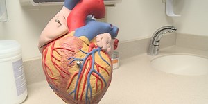 “Walk with a Doc” helps attendees understand better heart health