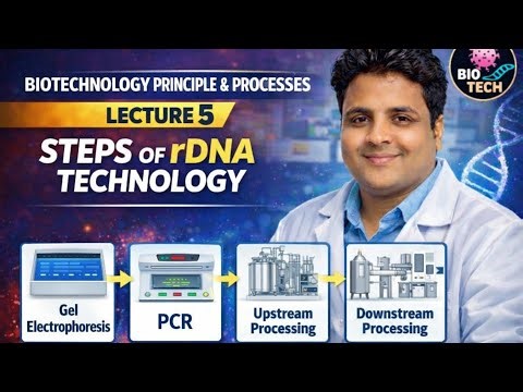 Biotechnology: Principles & Processes Steps of rDNA Technology PCR Gel Electrophoresis Bioreactors