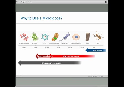 光学显微镜基础 - Basics of Light Microscopy