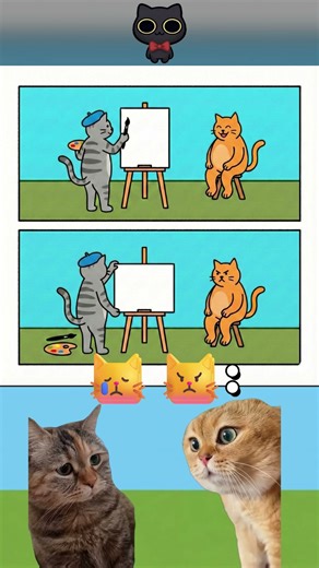 Angry fat cat 🐱 #chotaalivlogs