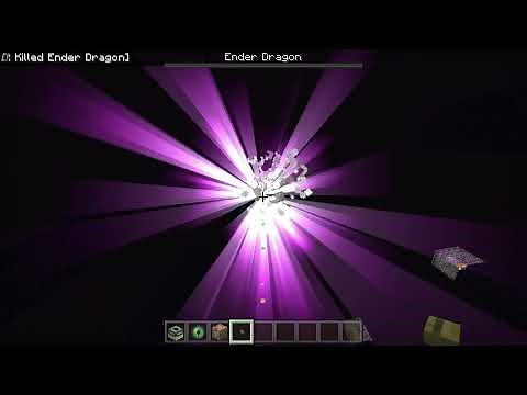 How to kill Ender Dragon with command /kill? - Minecraft Bedrock Edition