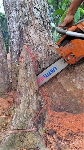 wood cutting technique#wood#woodworking#shortvideo