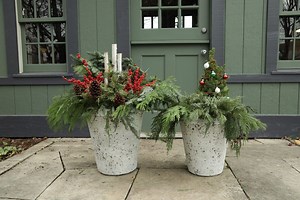 Winter Container Garden