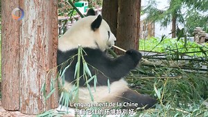 9.8K views · 57 reactions | Le 22 avril 2024, une activité unique et...