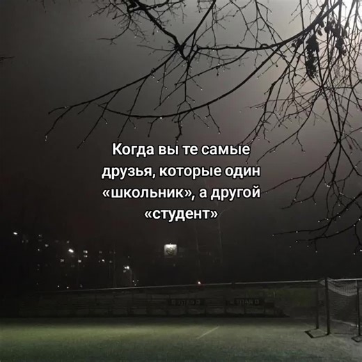 Understanding Friend Dynamics: School vs. University