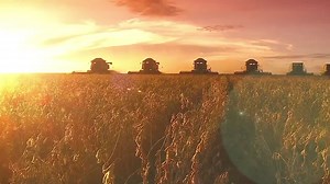 374K views · 73K reactions | - O Agronegócio no Nordeste se desenvolve com programas de irrigação. Hoje, o Governo do Brasil lança o Programa de Fomento à Agricultura Irrigada na Região junto a outros desenvolvedores. - Oportunidades aos produtores, desenvolvimento e renda! Ministério da Agricultura, Pecuária e Abastecimento | Jair Messias Bolsonaro | Facebook