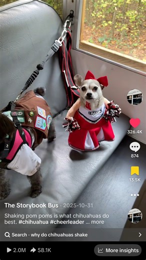 Lolli’s Story Enjoy! ❤️😂 | The Storybook Bus