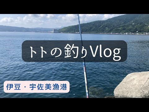 【伊豆 宇佐美 釣り】2023.7