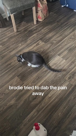 Understanding Grooming: Care and Embarrassment