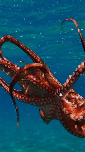 Explore over 140 works created with the planet in mind at the Design Museum's major exhibition, More than Human. Book your tickets. | Design Museum | Facebook