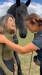 4.7K views · 13 reactions | Amazingly Beautiful❤️ | Classic Cartoons | Facebook