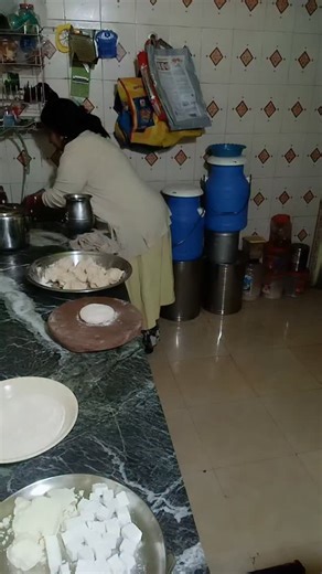 Vimla Gupta on Instagram: "Good night Radhe Radhe Jay Shri Krishna bacchon##estagramreel❤️💯 #vimla #khoyamatarpanir#food #cooking"