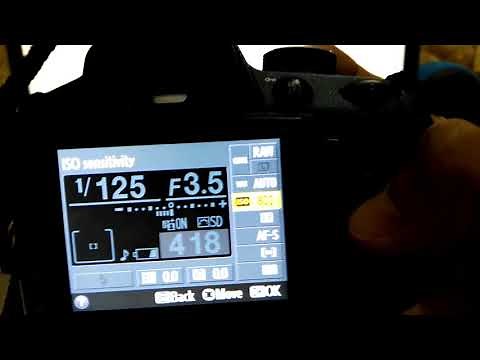 نظره عامه علي اعدادات نيكون للمبتدئين