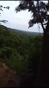 🚨 #Chilpancingo || Reportan ataques armados en las comunidades de #ElTejocote y #LlanosDeTepoxtepec, municipio de Chilpancingo con drones explosivos Chilpancingo, Gro.- En estos momentos, se está desatando un enfrentamiento armado en las localidades de El Tejocote y Llanos de Tepoztepec, municipio de Chilpancingo, lo que ha dejado varios heridos y temor entre pobladores, según una denuncia hecha al 911 y vía redes sociales. Según denuncias de los pobladores, están siendo atacados con drones exp