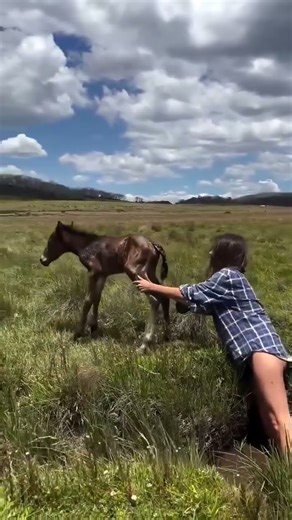 Epic Fails & Funny Animals! #funnyfails #animalhumor