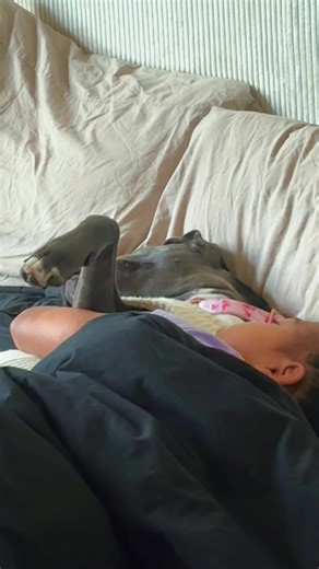 just a dog and her best friend