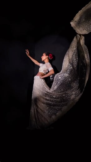 TENA DURRANI on Instagram: "Celestial Saree S/S 2025 Bridal Couture. Model: @surrina4 Makeup: @irhyanthomas Videographer: @saif_jatoii . . . #tdcelestial #bridalcouture #tenadurranibridals #bridals #weddingdress #bridalinspiration #pakistanicouture #california #texas #illinois #toronto #dubai #london #newyork #appna"