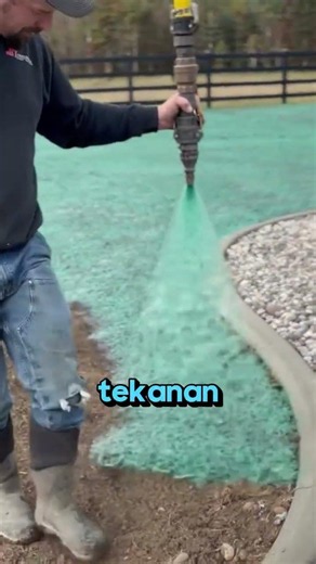 How to Turn Barren Land Into a Grassy Meadow