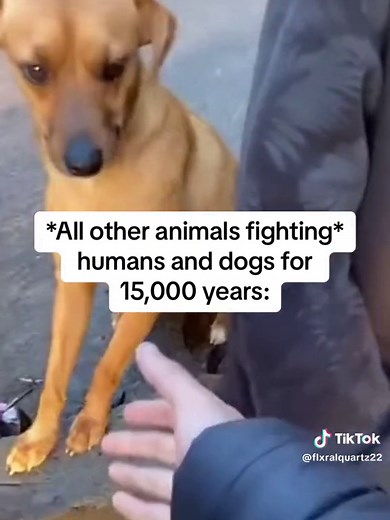 Evolution of Human-Dog Relationships Over 15,000 Years