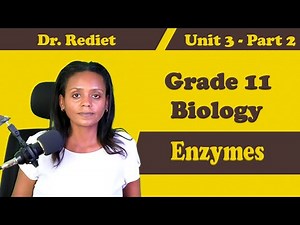 Grade 11 Biology Unit 3 Enzyme Part 2| Dr. Rediet