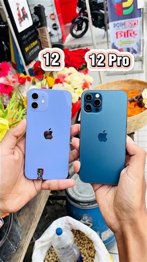 iPhone 12 Vs iPhone 12 Pro || Camera Test! #shorts
