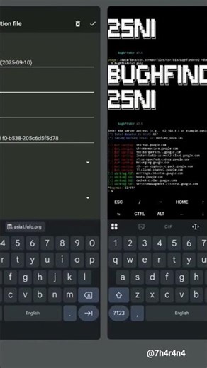 Bughfinder v2 | Sni finder