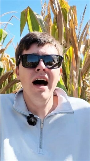 IT’S THE CORNFIELD CREEPER! 🌽