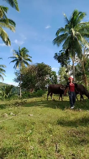 #fypシ゚viral #monitizedviews #monitizetiktok