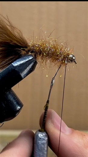 The buggiest bugger that ever bugged