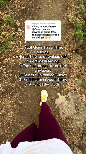 How to Download Audio for Offline Listening on Quinn