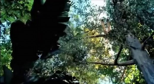 The Rundown Official Trailer #1 - Christopher Walken Movie (2003) HD