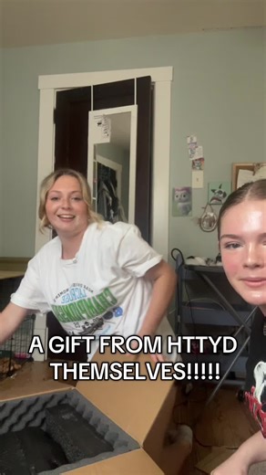 Celebrating HTTYD with Friends and a Special Book