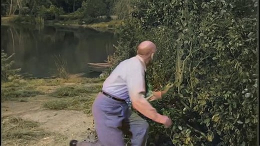 AHH S01E24 (Colorized)