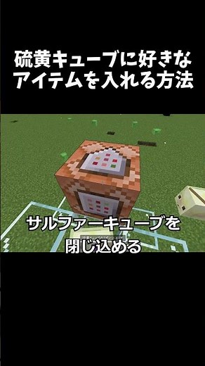 【マイクラ】サルファーキューブに好きなアイテムを入れる方法 #マイクラ