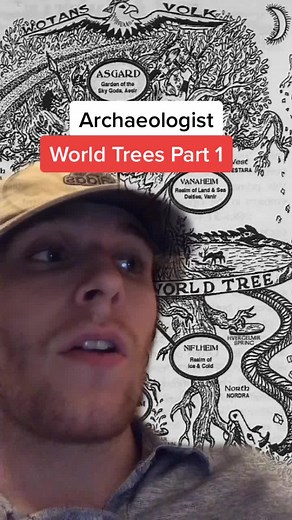Unveiling the Mysteries of World Trees Part 1