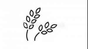 Animated wheat icon. Agriculture line animation. Rural farming. Cereal crop. Grain-producing product. Black illustration on white background. HD video with alpha channel. Motion graphic